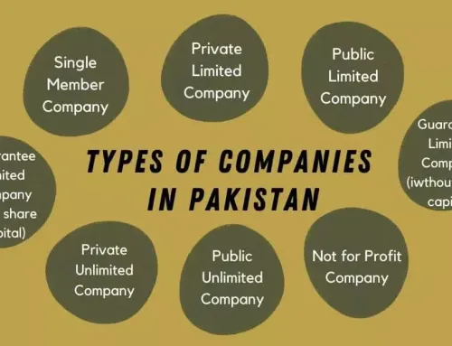 Learn About Types of Companies in Pakistan and choose the Best Option