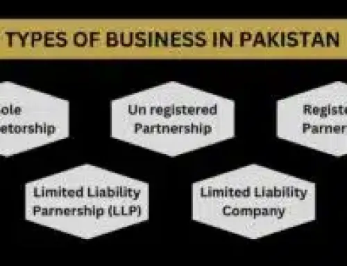 5 Types of Business in Pakistan | Your Complete Guide to Choose the Best